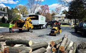 Professional Tree Services in Notasulga, AL